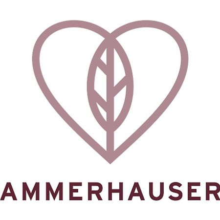 Hotel-Restaurant Ammerhauser Anthering Extérieur photo